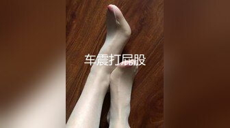 车震打屁股