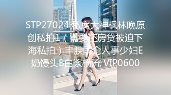 STP27024 私房大神枫林晚原创私拍1（需要还房贷被迫下海私拍）丰腴国企人事少妇E奶馒头B白浆横流 VIP0600