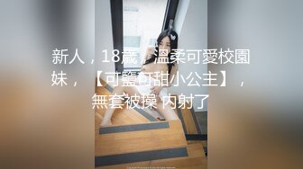 8/16最新 优雅高跟丽人泛红的嫩穴周边毛毛都快磨光了VIP1196