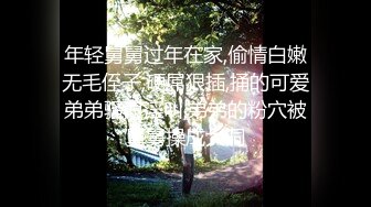 无码专区在线免费观看