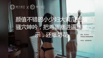 2023-3-26【梦幻谷先生】良家极品少妇宝马女护肤品老板娘第二炮全力猛干黑丝高跟鞋怼入骚穴爆操