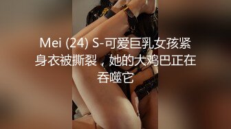 Mei (24) S-可爱巨乳女孩紧身衣被撕裂，她的大鸡巴正在吞噬它