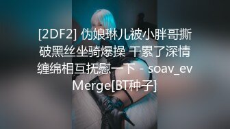 [2DF2] 伪娘琳儿被小胖哥撕破黑丝坐骑爆操 干累了深情缠绵相互抚慰一下 - soav_evMerge[BT种子]