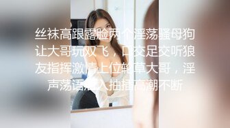 【反差婊子】长相甜美极品人妻少妇孕妇孕期自慰性爱调教