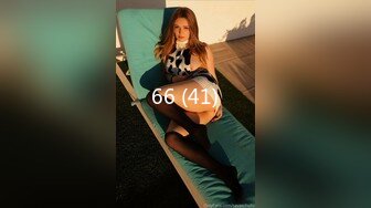 66 (41)