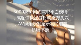 3000高价网约兼职平面模特，高颜值极品身材粉嫩馒头穴，AV视角沙发展示啪啪细节娇喘不断